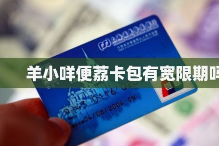 便荔卡取现如何提前还清