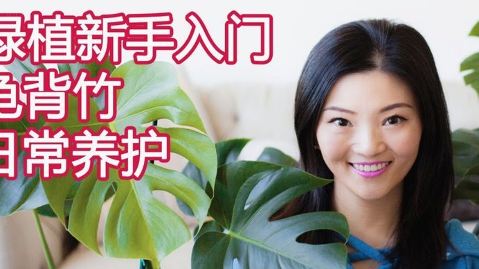 拿去花套现安全性及现状深度解析