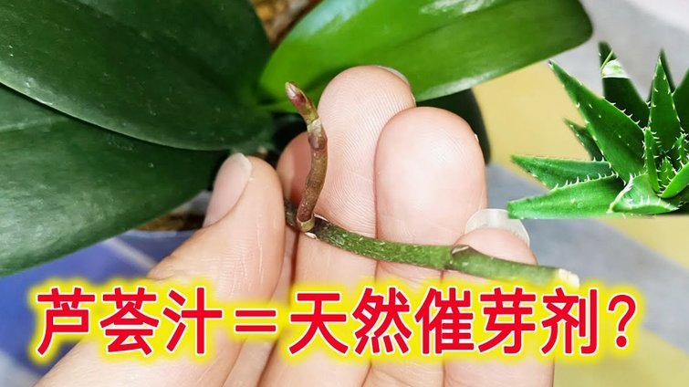花呗能提现吗？看完这些细节要小心！