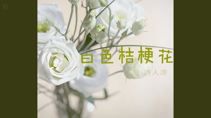 花呗官方客服电话：查询与咨询指南