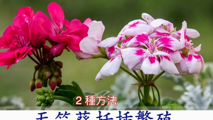 花呗套了500严重么