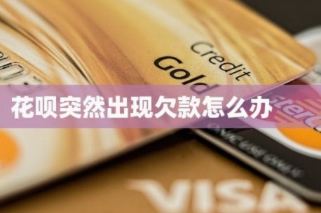 花呗怎么排除异常