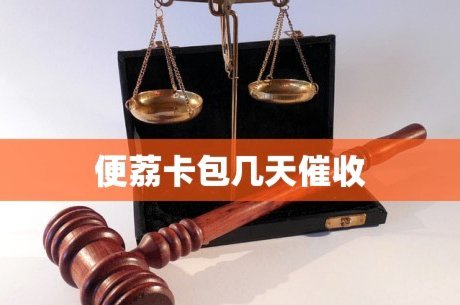 灵活还款方案深度解析