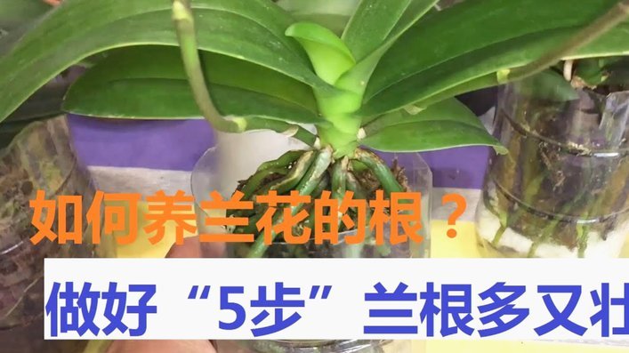 携程的资金去向：从“还款”到构建生态壁垒？