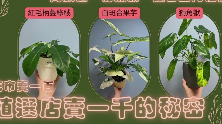 携程拿去花在哪里还款