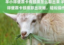 羊小咩提取全解析