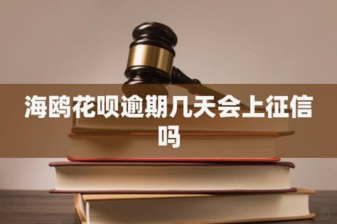海鸥花呗：警惕风险，核实正规性