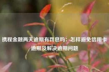 携程“拿去花”怎么还款？地点、方式一文看懂