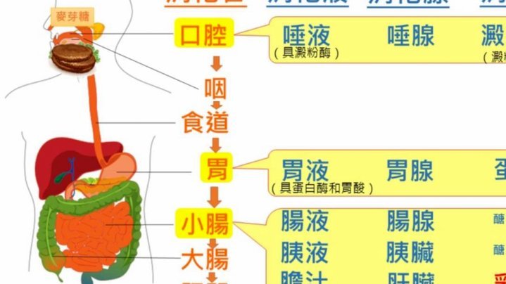 得物佳物分期：如何提现？