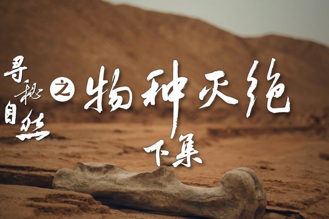 得物的佳物分期怎么提现
