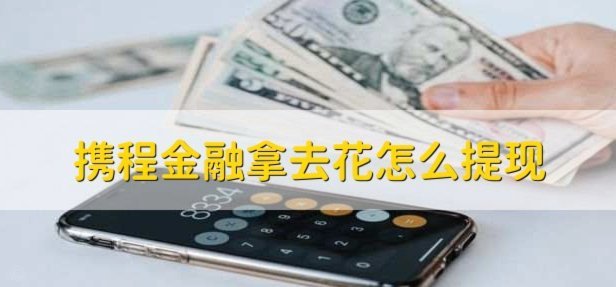 携程拿去花取现多久到账？