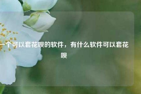 花呗套花呗有风险吗？看完再做决定