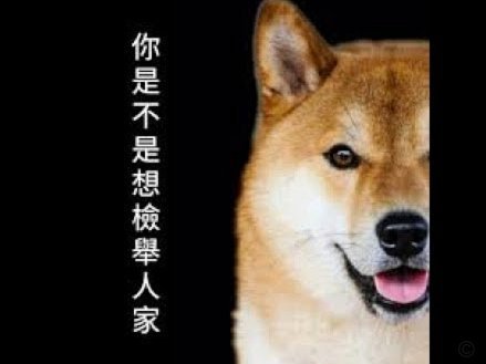 想买“和鹿优选”同款？这些更值得关注的高端平台汇总