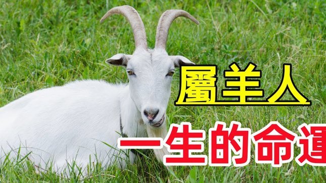 羊小咩额度如何变现为现金