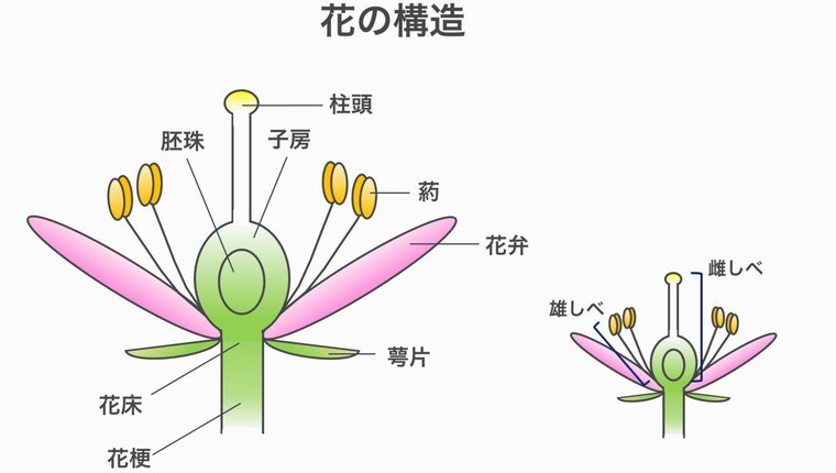 花呗现在情况 怎么查询