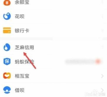 花呗怎么联系在线客服