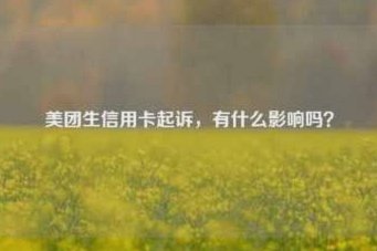 美团月付取现上征信吗