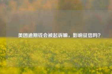 美团月付取现上征信吗