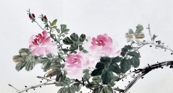 海鸥花呗平台 怎么样