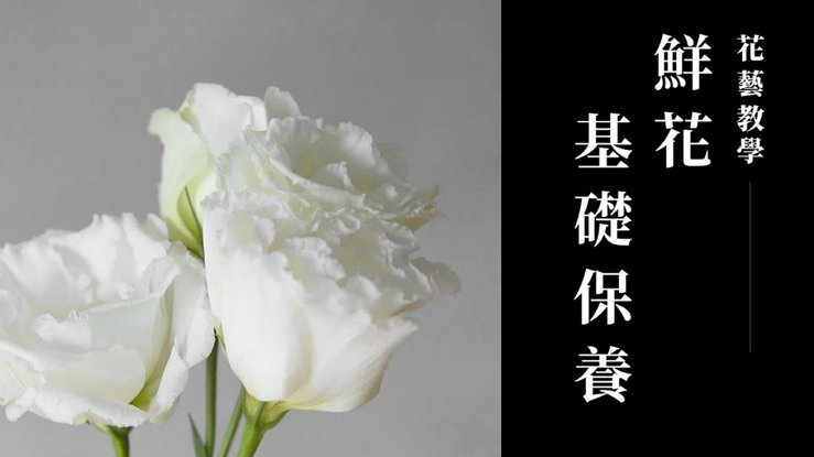 携程“拿去花”积分能提现吗？
