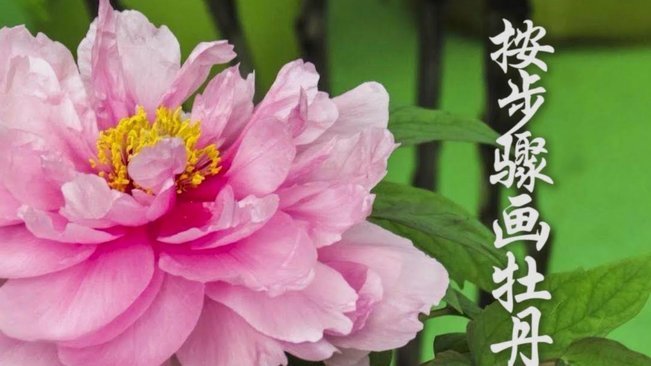花呗套500有事吗