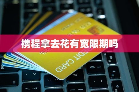 携程拿去花能用于支付哪些服务？