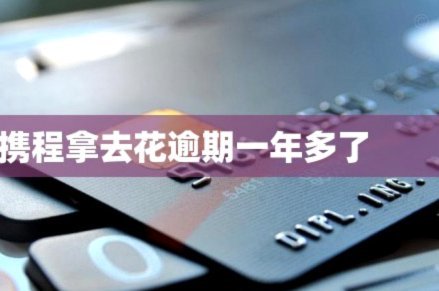 携程上的拿去花可以支付哪些