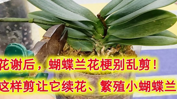 套现花呗手续费那些你不得不知道的细节