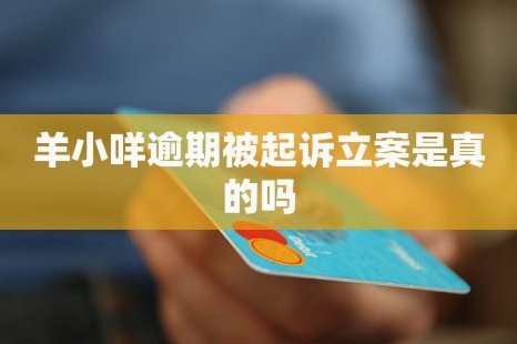 羊小咩网贷是什么平台