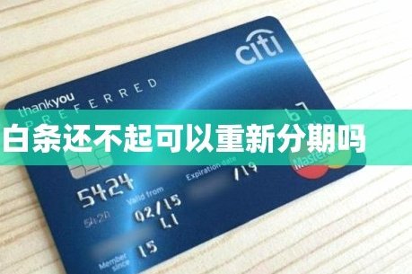 白条可以使用的平台