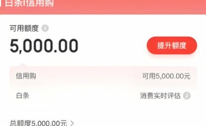 白条可以使用的平台