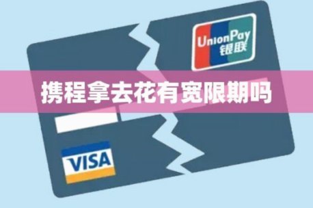携程拿去花用不了了