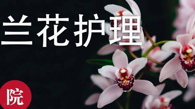 花呗提现到底怎么操作