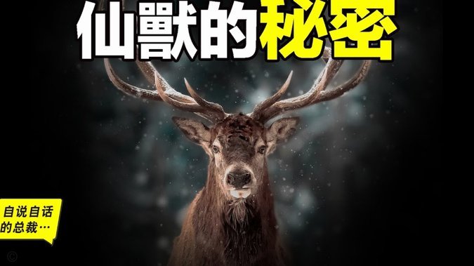 鹿优选有人用过吗