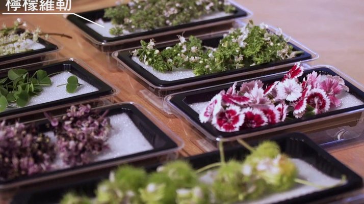 携程拿去花能当饭钱用吗？真相在这里