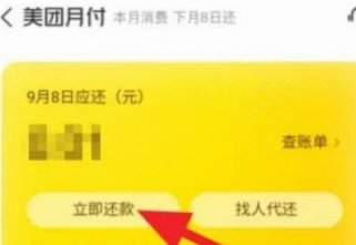 月月付提前还款指南