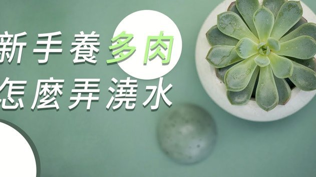 花呗为何难以套现？