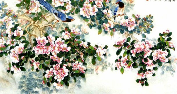 花呗提现应该找谁申请？官方途径及注意事项说明