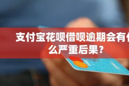 花呗现象 平台是什么
