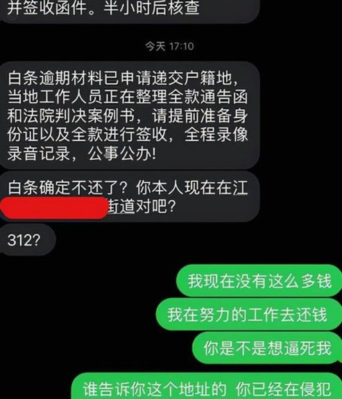 支持白条的第三方平台有哪些