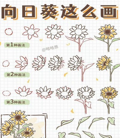 花呗提现操作技巧与安全指南