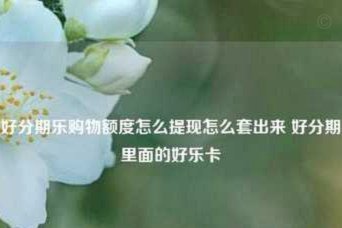 来分期购物额度能套出来吗？深度解析风控机制